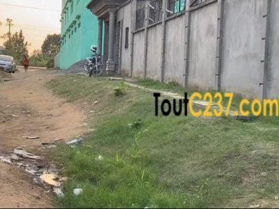 Terrain à vendre à Logbessou Briquiny, Douala