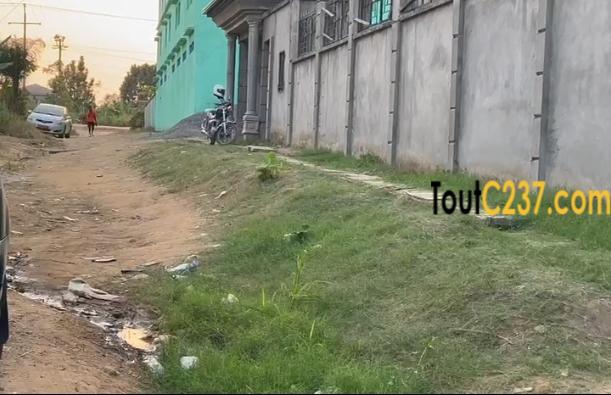Terrain à vendre à Logbessou Briquiny, Douala