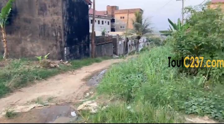 Terrain à vendre à Logbessou Briquiny, Douala