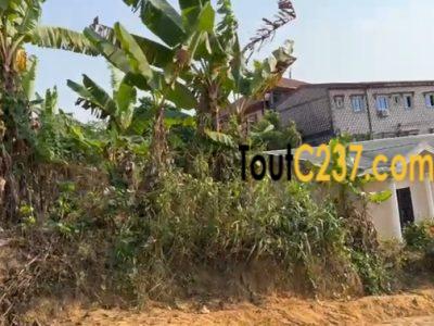 Terrain à vendre à Kotto Oasis, Douala