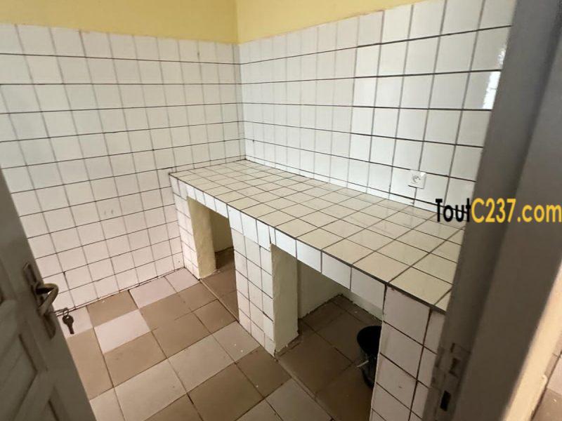 Maison sic à louer à Kotto, Douala
