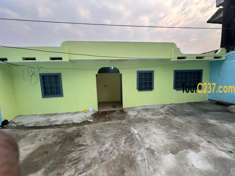 Maison sic à louer à Kotto, Douala