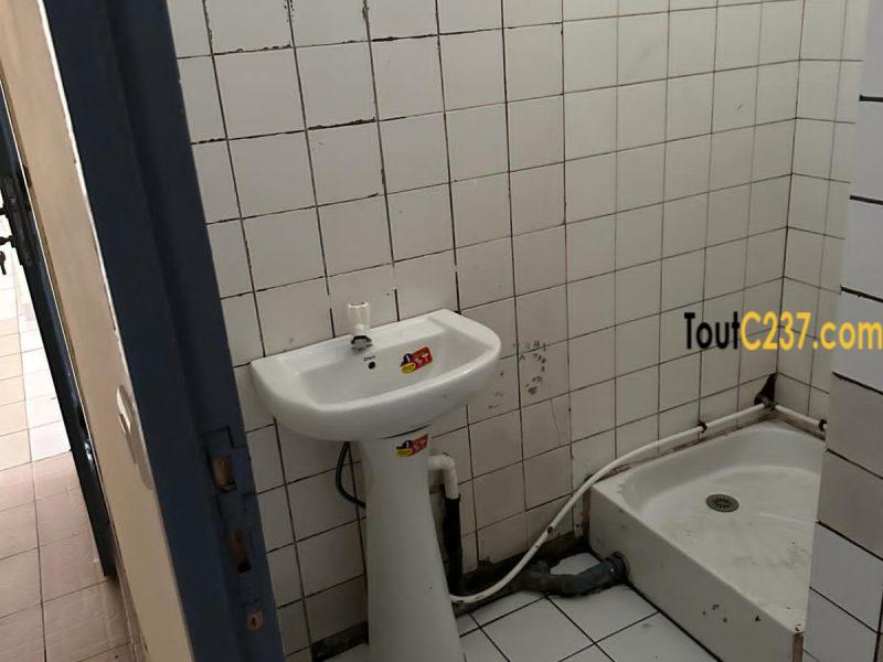 Maison sic à louer à Kotto, Douala