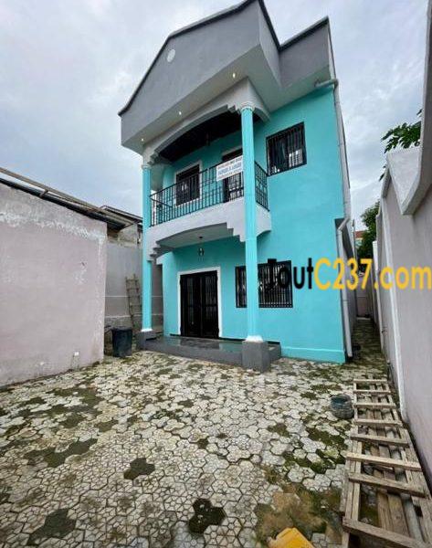 Duplex Neuf à louer à Kotto Bangue, Douala