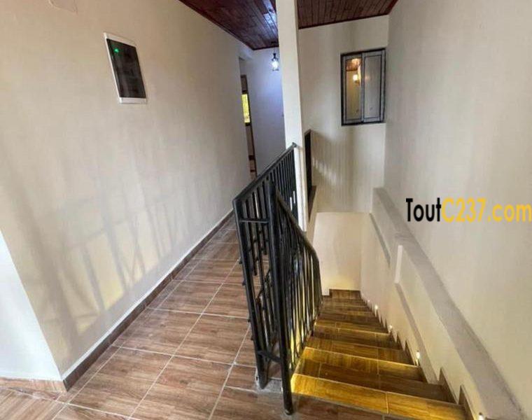 Duplex Neuf à louer à Kotto Bangue, Douala
