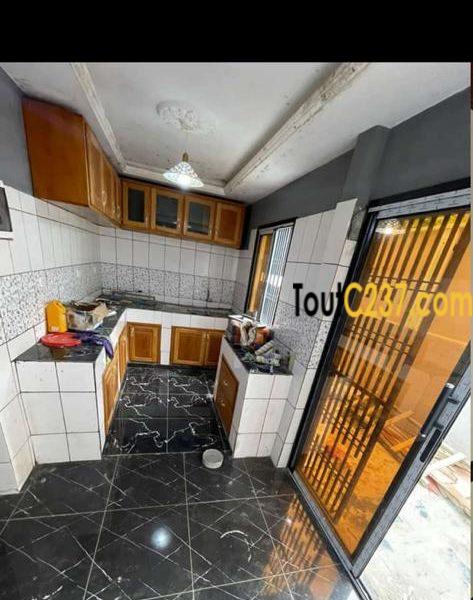 Duplex Neuf à louer à Kotto Bangue, Douala