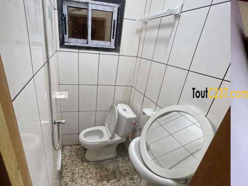 Duplex Neuf à louer à Kotto Bangue, Douala