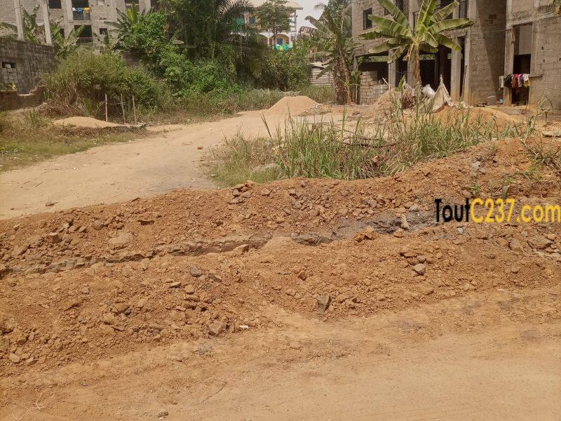 Terrain à vendre à Logbessou (iuc)