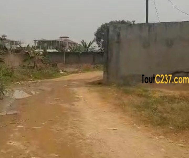 Special Terrain à vendre à Logbessou (face iuc)
