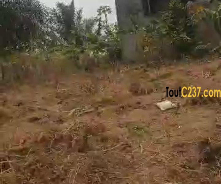 Special Terrain à vendre à Logbessou (face iuc)