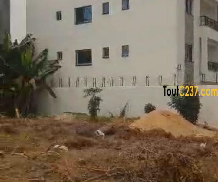 Special Terrain à vendre à Logbessou (face iuc)