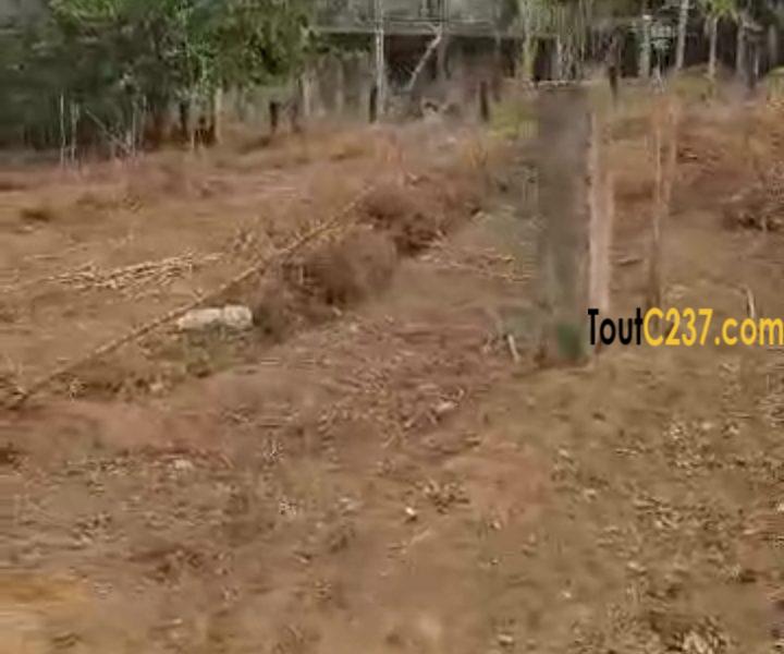 Terrain à vendre à Logpom