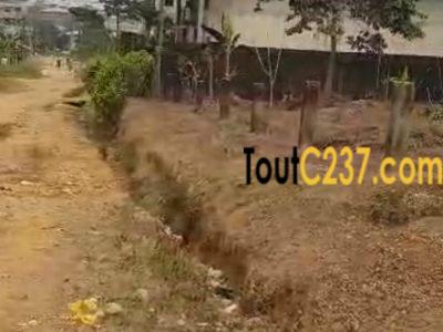 Terrain à vendre à Logpom