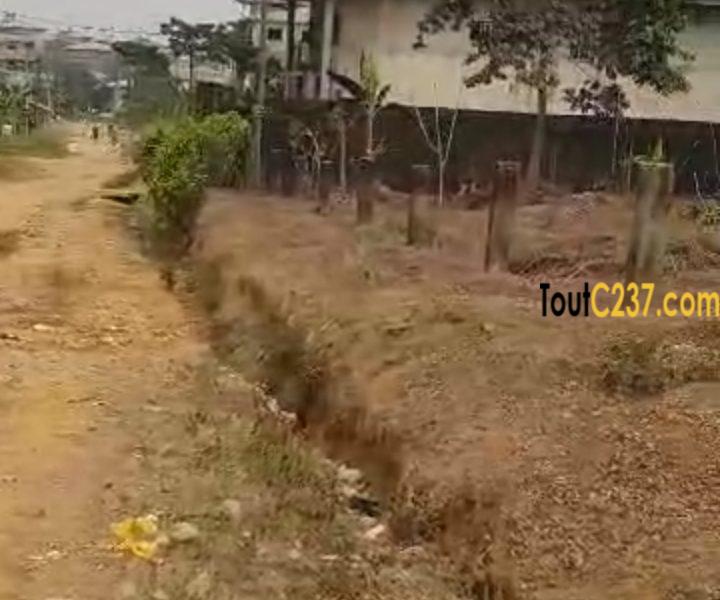 Terrain à vendre à Logpom