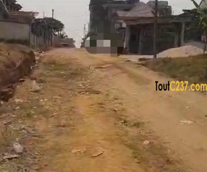 Terrain à vendre à Logpom