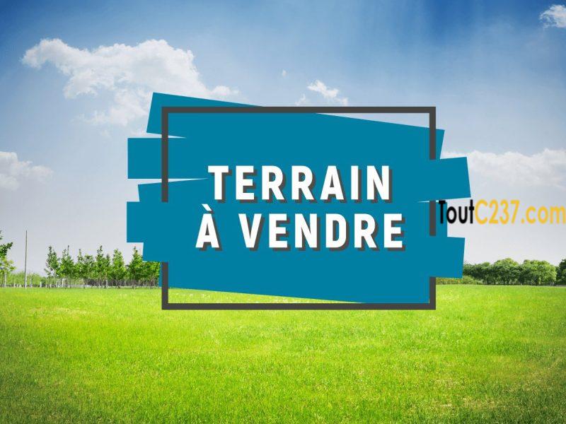 Terrain Commercial à vendre à Bonanjo, Douala