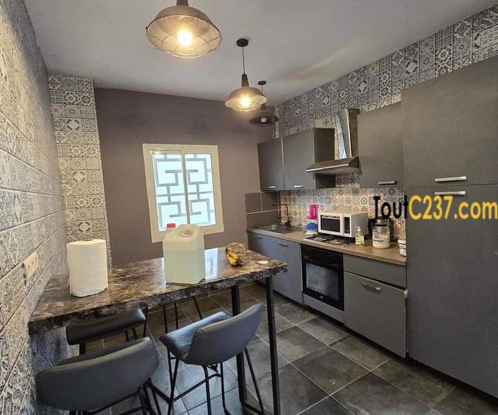 Très Joli Duplex à vendre à Bonaberi (Bekoko)