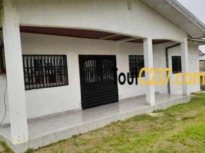 Duplex à vendre à Logbessou (Nickel Oil)