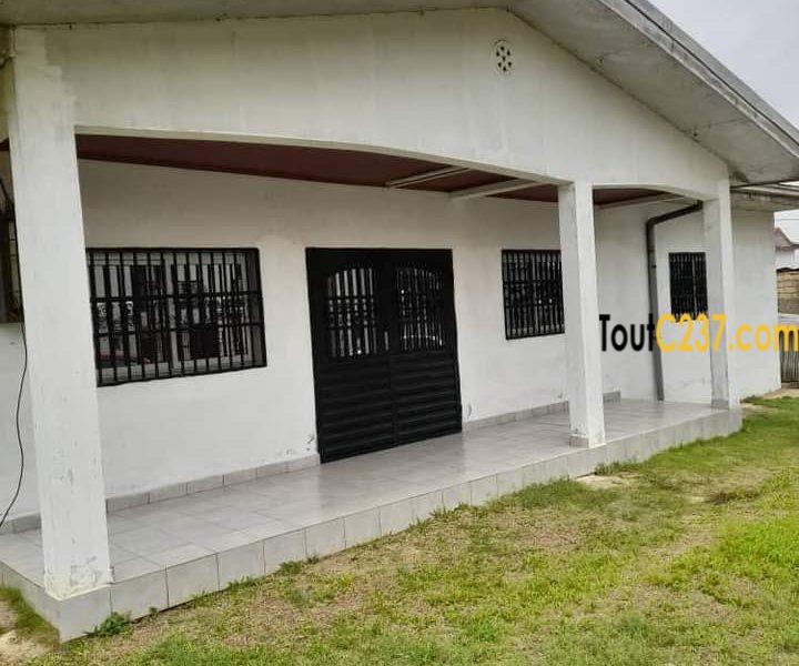 Duplex à vendre à Logbessou (Nickel Oil)