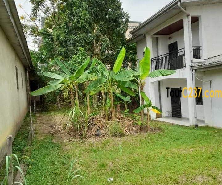 Duplex à vendre à Logbessou (Nickel Oil)