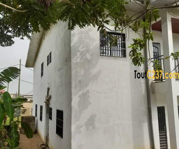 Duplex à vendre à Logbessou (Nickel Oil)