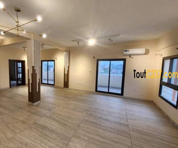 Appartement en duplex à louer à Bonapriso