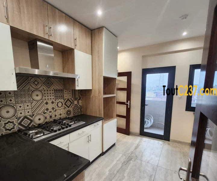 Appartement en duplex à louer à Bonapriso