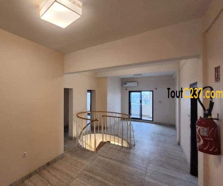 Appartement en duplex à louer à Bonapriso