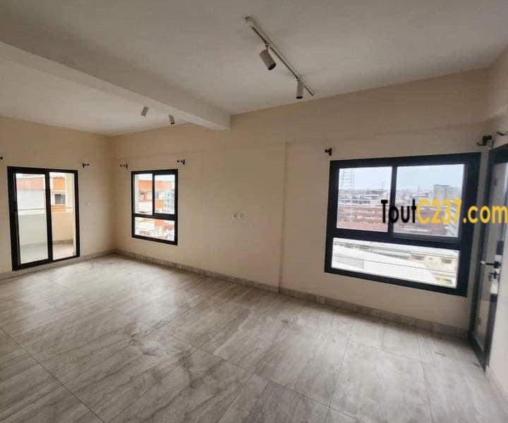 Appartement en duplex à louer à Bonapriso