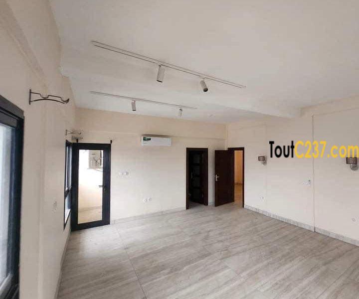Appartement en duplex à louer à Bonapriso
