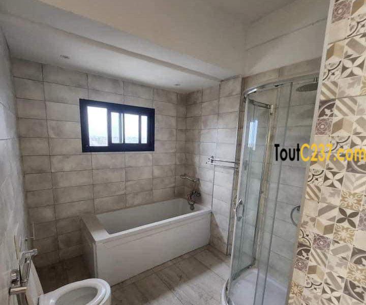 Appartement en duplex à louer à Bonapriso