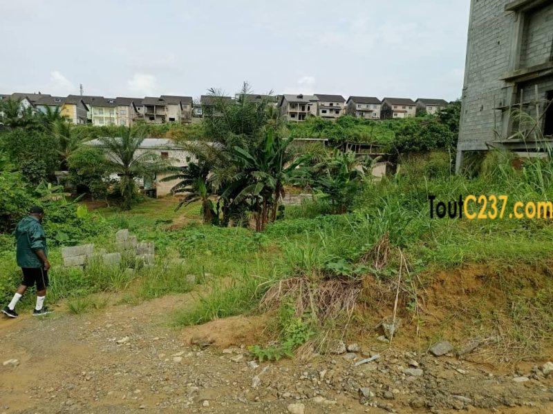 Terrain à vendre à Yassa, cite chirac