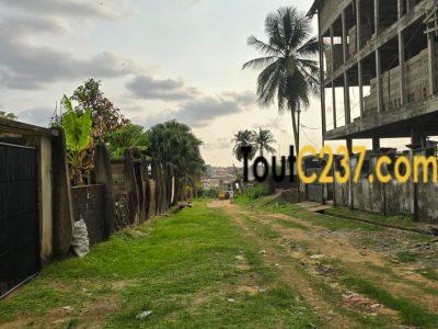 Terrain à vendre à Logpom (1ere avenue)