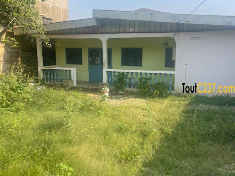 Grande villa à vendre à Bonamoussadi, Douala
