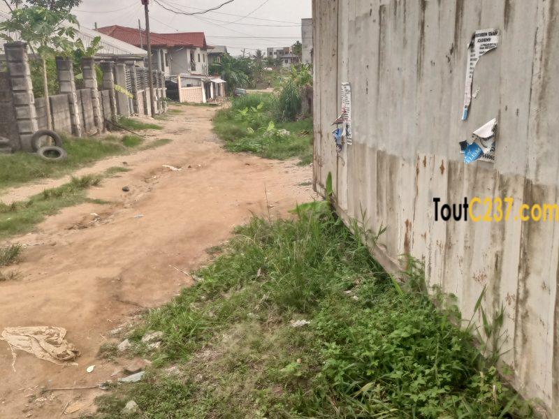 Tres bon terrain à vendre à Logbessou (Face iuc)