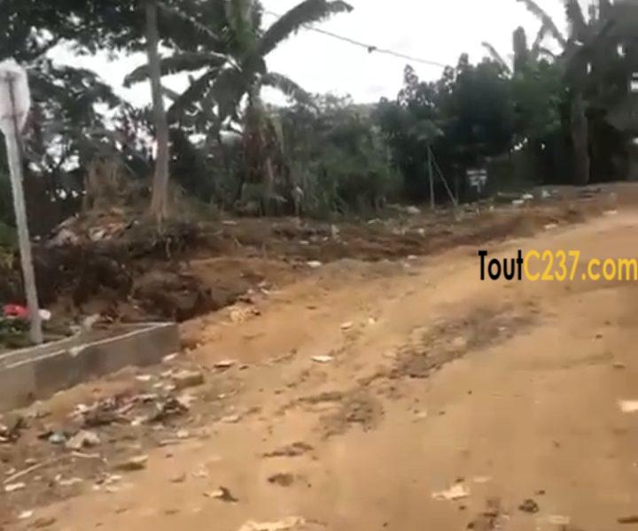 Terrain commercial à vendre à Logpom, Douala
