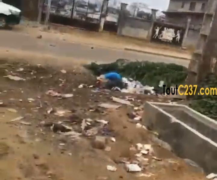 Terrain commercial à vendre à Logpom, Douala