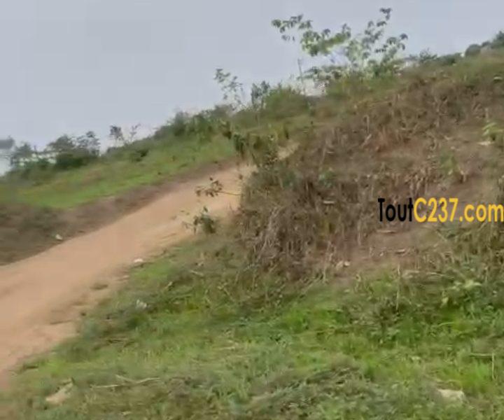 Terrain a vendre à Yassa (Sad)