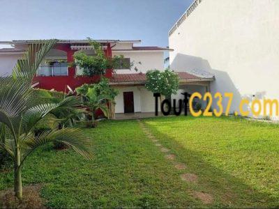 Duplex à louer à Bonapriso, Douala