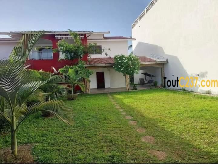 Duplex à louer à Bonapriso, Douala