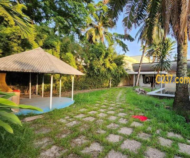 Villa avec piscine à louer à Bonapriso