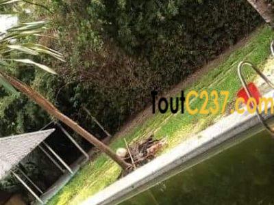 Villa avec piscine à louer à Bonapriso