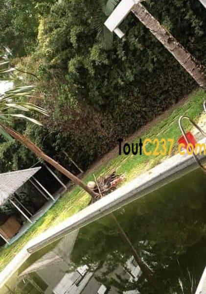 Villa avec piscine à louer à Bonapriso