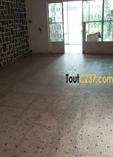 Villa avec piscine à louer à Bonapriso