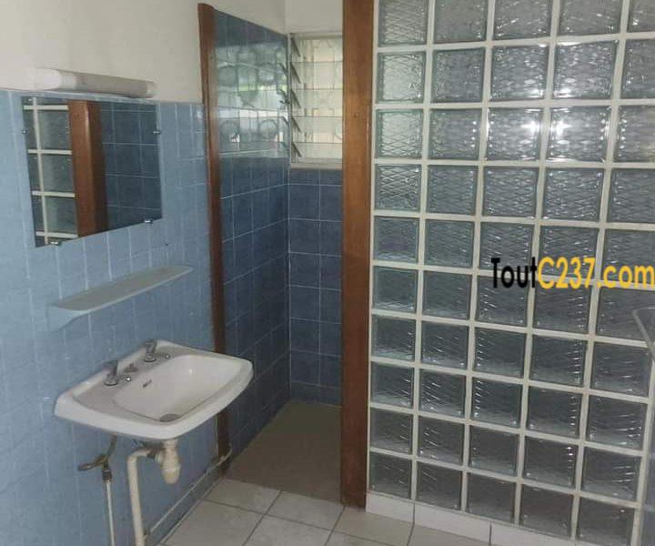 Villa avec piscine à louer à Bonapriso