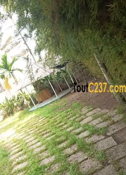 Villa avec piscine à louer à Bonapriso