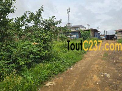 Terrain à vendre a Lendi avant la chefferie