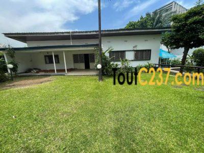 Vaste villa à louer à Bonapriso, Douala