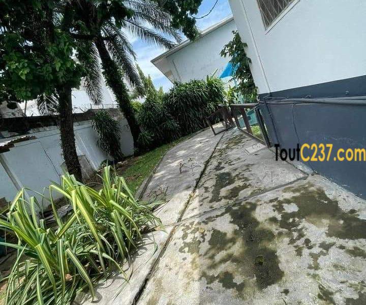Vaste villa à louer à Bonapriso, Douala