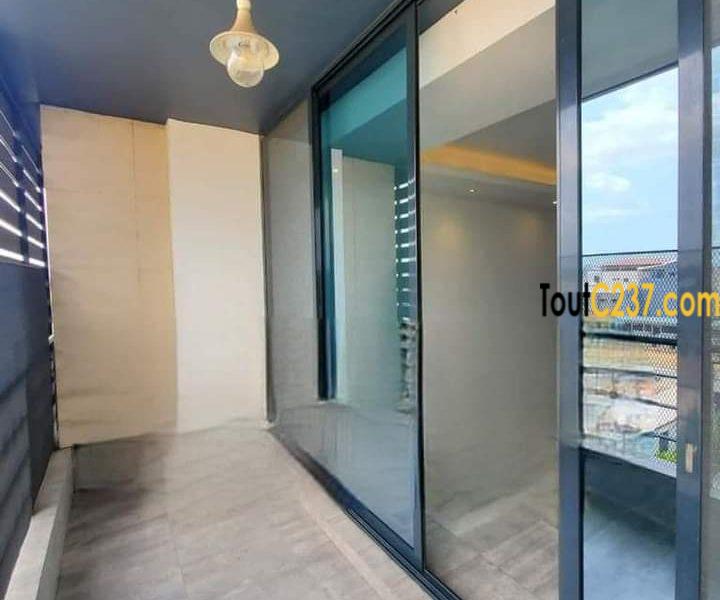 Appartement présidentiel à louer à Bonamoussadi Douala